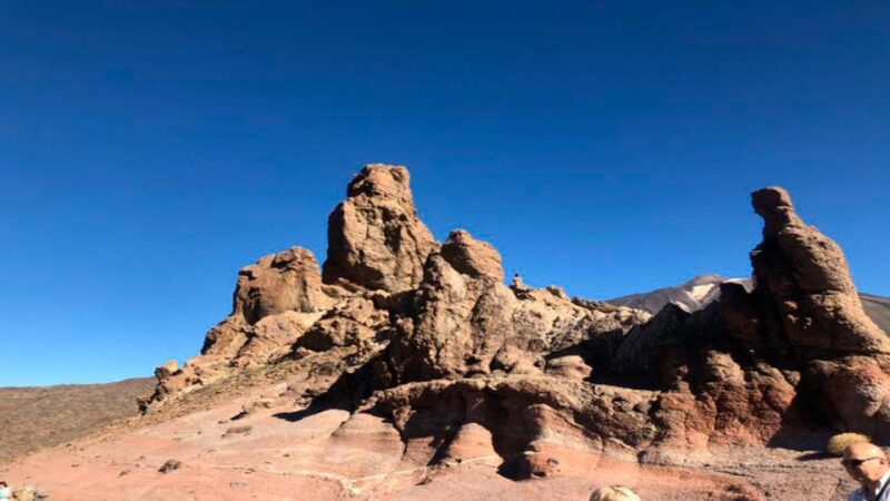 Tenerife: Teide National Park Guided Full-Day Trip by Bus - Meeting Point and Pickup