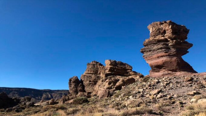 Tenerife: Teide National Park Guided Full-Day Trip by Bus - Optional Cable Car Ride