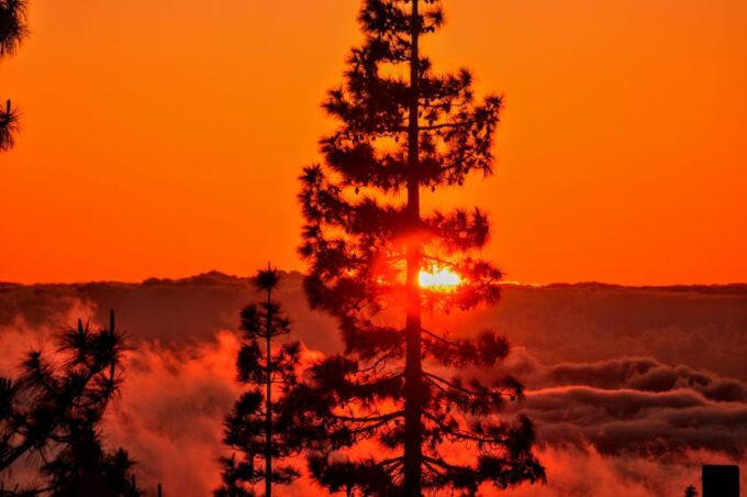 Tenerife: Teide National Park Sunset & Stargazing Experience - Inclusions and Restrictions