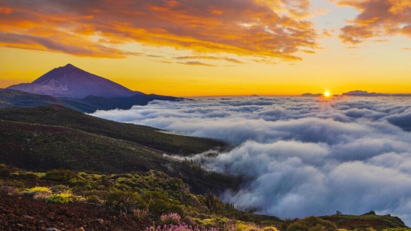 Tenerife: Teide & Stars + Guachinche Lunch + Cava Vip Tour - Return to Puerto De La Cruz