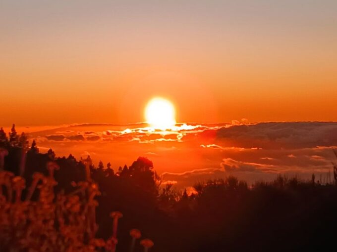 Tenerife: Teide & Stars + Guachinche Lunch + Cava Vip Tour - Pickup and Drop-off Included