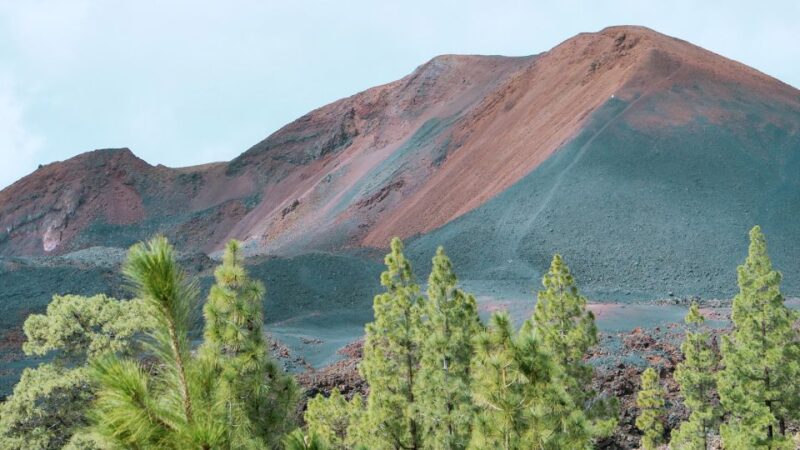 Tenerife: Teide Volcano and North of the Island VIP Tour - Tour Exclusions