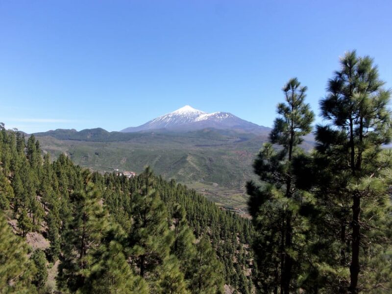 Tenerife: The Almond Blossom Trail - Pickup Information