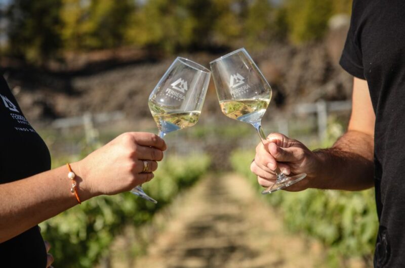 Tenerife: Tour of an Organic Vineyard With Tasting & Snacks - Customer Feedback
