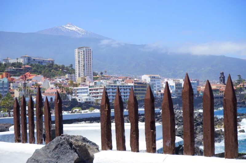 Tenerife: Trip to Puerto De La Cruz - Transportation and Experience