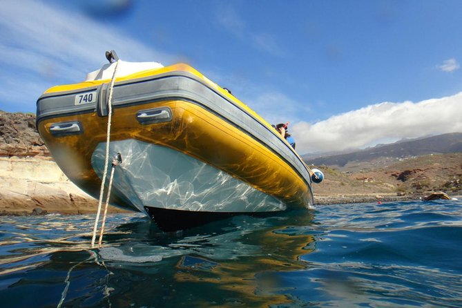 Tenerife Turtle and Snorkel Tour From Costa Adeje - Participant Requirements