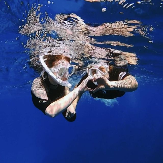 Tenerife: Turtle Bay Snorkel Discovery With Video - Snorkel Adventure With Top-Quality Equipment