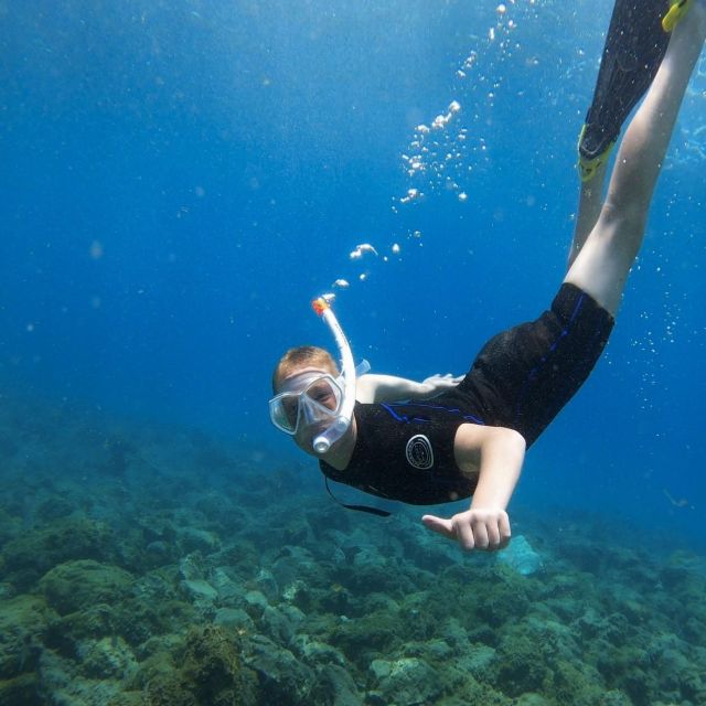 Tenerife: Turtle Bay Snorkel Discovery With Video - Meeting Point and Parking