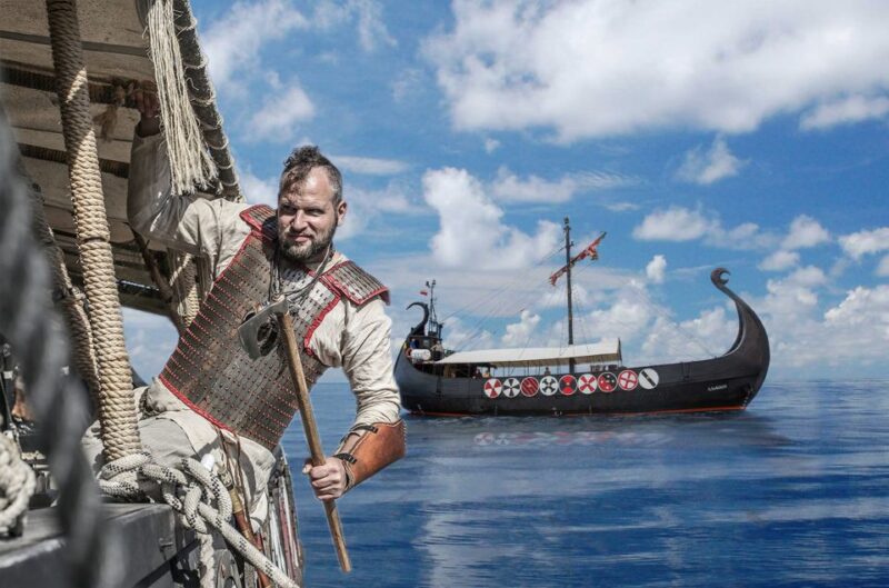 Tenerife: Viking Cruise With Drinks, Show, Whales & Dolphins - Scenic Coastal Views