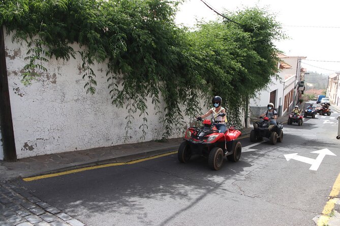 Tenerife Volcano Quad Tour - Volcanic Landscapes