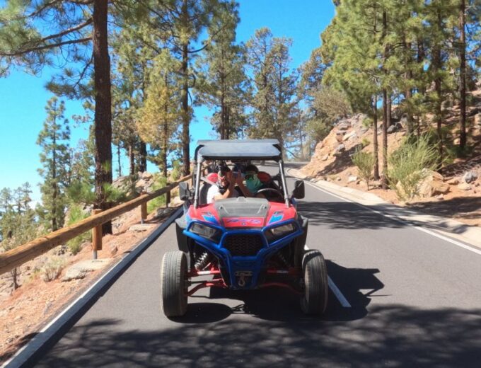 Tenerife: Volcano Teide Buggy Tour With Wine Tasting & Tapas - Vineyard Visit and Wine Tasting