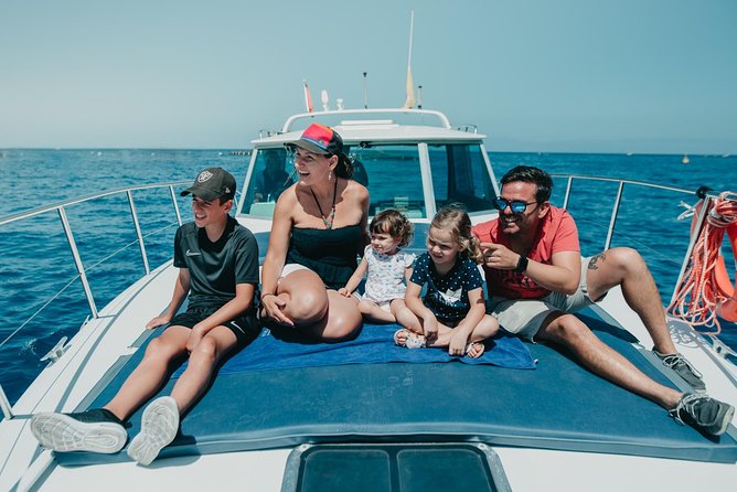 Tenerife: Whale and Dolphin Watching - Pricing and Availability
