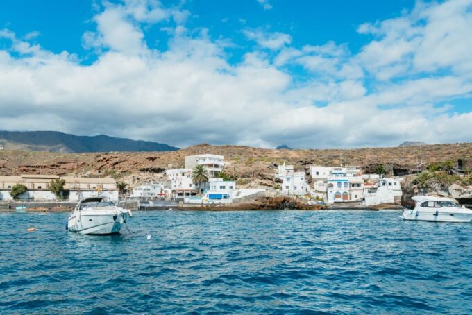 Tenerife: Whale & Dolphin Watching With Drinks and Snacks - Swimming and Snorkeling
