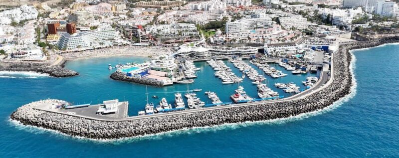 Tenerife Whale Watching and Snorkeling Yacht Trip - Relaxation, Swimming, and Snorkeling Opportunities