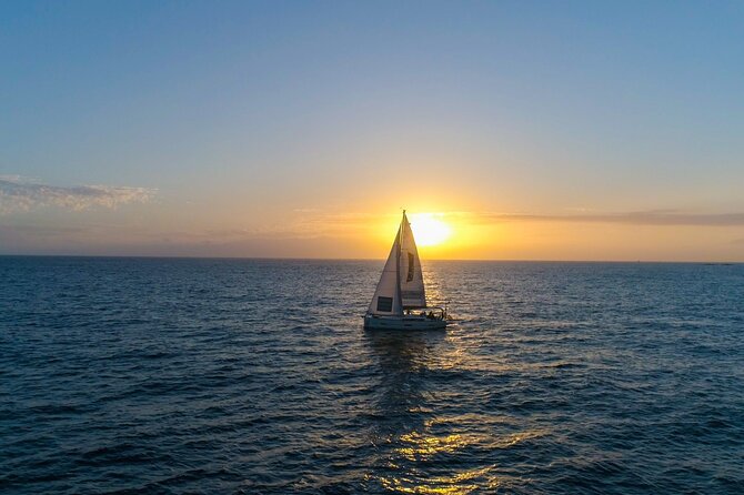 Tenerife Whale Watching and Snorkeling Yacht Trip - Host Responses