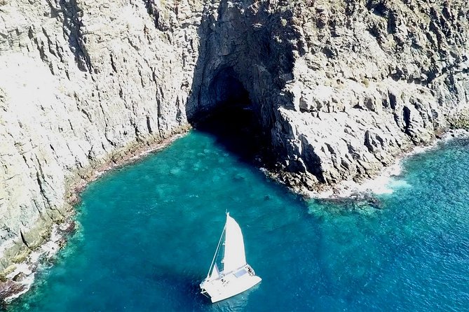 Tenerife Whales and Dolphins Watching Experience in Catamaran - Highlights of the Excursion