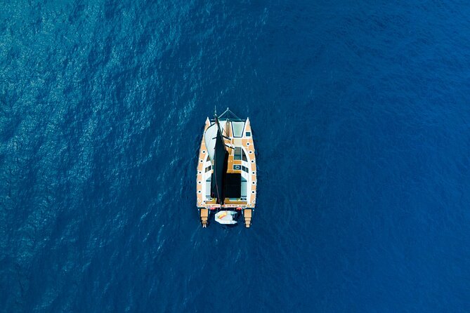 Tenerife Whales and Dolphins Watching Experience in Catamaran - Marine Life Sighting Opportunities