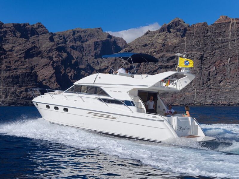 Tenerife: Whales and Snorkeling Tour on a Luxury Yacht - Yacht Amenities