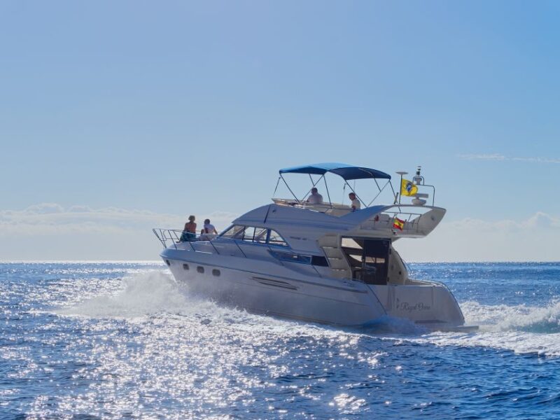 Tenerife: Whales and Snorkeling Tour on a Luxury Yacht - Pickup and Drop-off