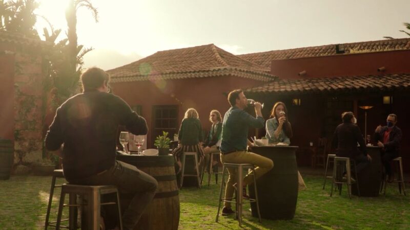 Tenerife: Wine Museum Ticket With Local Wines & Food Tasting - Wine Tasting and Pairings