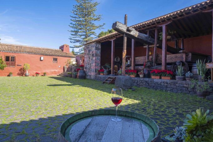 Tenerife: Wine Museum Ticket With Local Wines & Food Tasting - Purchase Opportunities