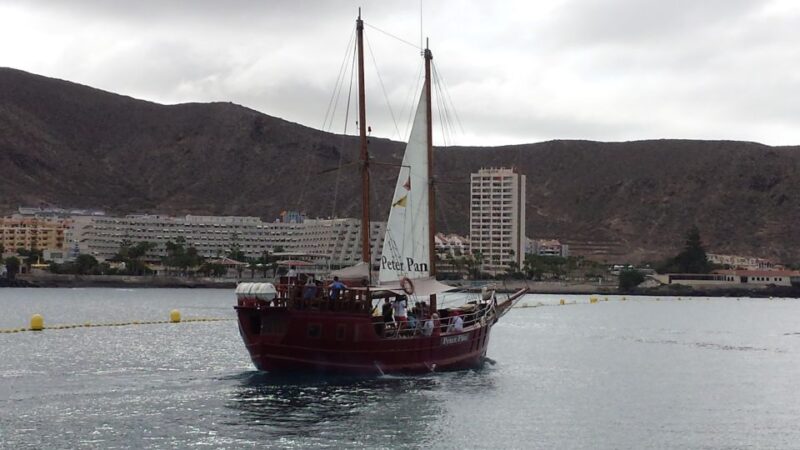 Tenerife:Respectful Whale Watching, Pirate Ship, & Swim - Key Points