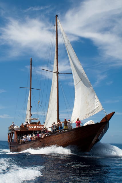 Tenerife:Respectful Whale Watching, Pirate Ship, & Swim - Convenient Pickup and Itinerary