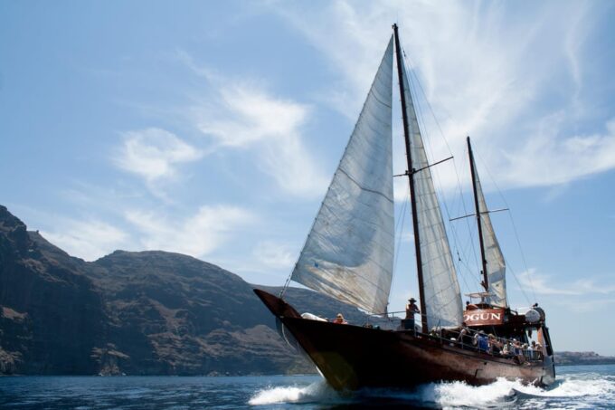 Tenerife:Respectful Whale Watching, Pirate Ship, & Swim - Rave Reviews and Customer Feedback
