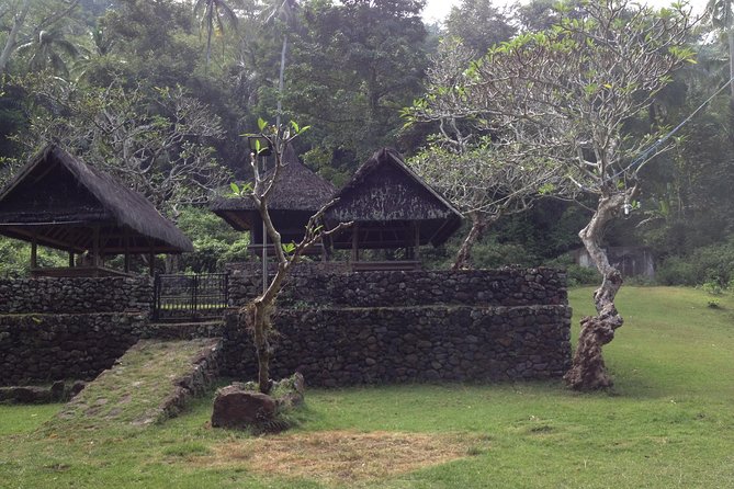 Tenganan Village Rice Field Trekking Tour - What to Expect