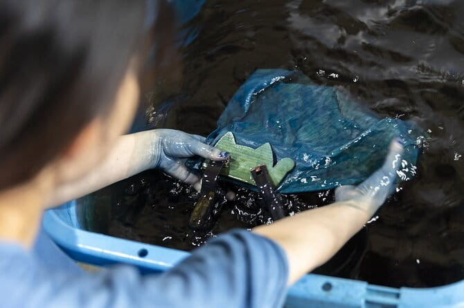 Tenugui Dyeing Experience Tour From Nagoya With English Guide - Tenugui Dyeing Workshop