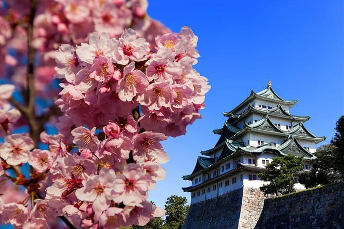 Tenugui Dyeing Experience Tour From Nagoya With English Guide - Hands-on Dyeing Experience
