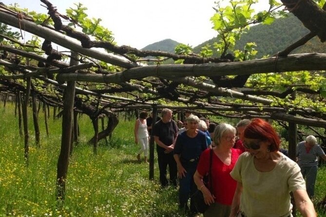 Tenuta San Francesco Wine Tasting - Experience Highlights