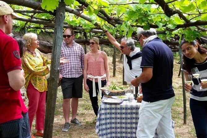 Tenuta San Francesco Wine Tasting - Guest Reviews