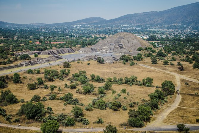 Teotihuacan + Basilica of Guadalupe + Tlatelolco Tour! - Tour Operator and Pricing