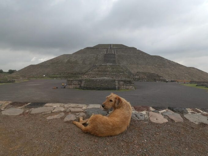Teotihuacan Easy Trip Experience With Entrances Included - Customer Feedback