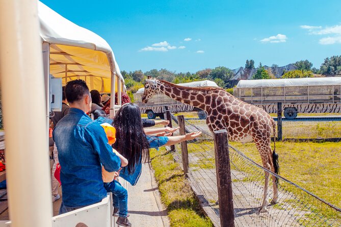 Teotihuacán for Kids - Family-Friendly Facilities