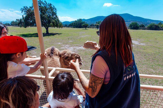 Teotihuacán for Kids - Packing for the Tour