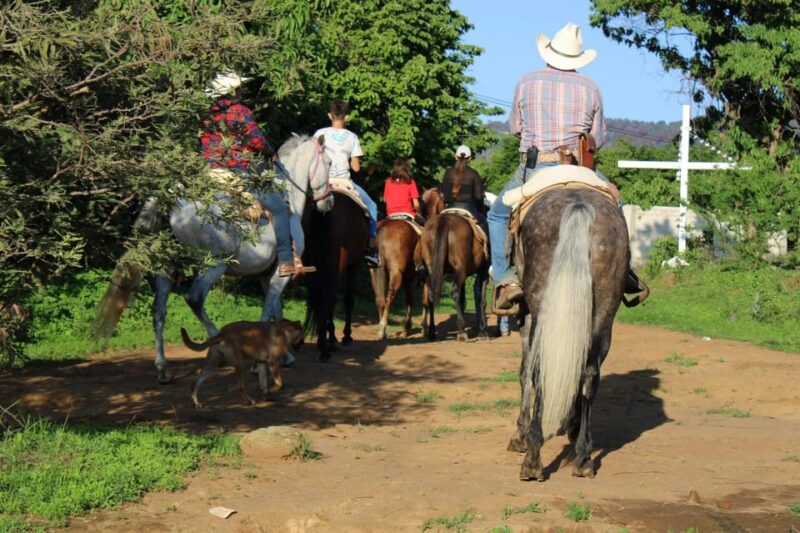 Tepoztlan: Horseback Riding Tour - Booking Information