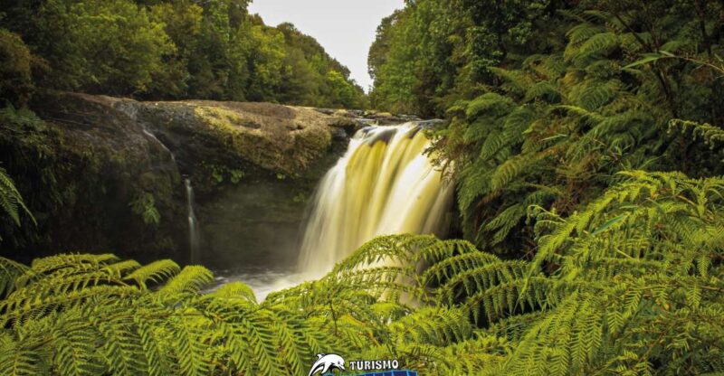 Tepuhueico Park: Introduce Yourself to Chiloé. - Scenic Views and Waterfall