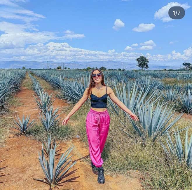 Tequila and Cantaritos Tour from Guadalajara - Discover the Tequila and Cantaritos Tour from Guadalajara