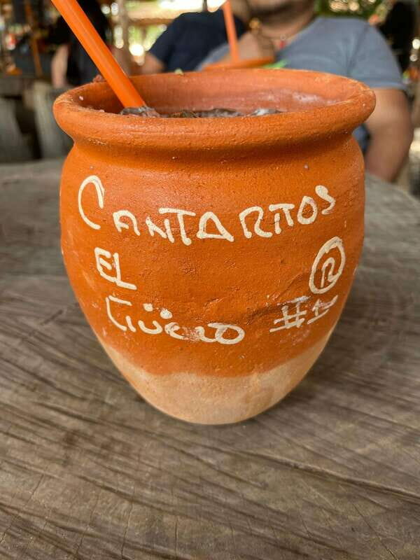 Tequila and Cantaritos Tour from Guadalajara - Who Should Consider This Tour?
