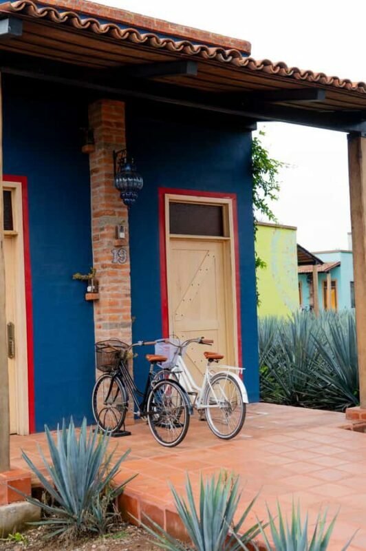 Tequila and food tour in Altos de Jalisco along the road of love - Who Should Consider This Tour?
