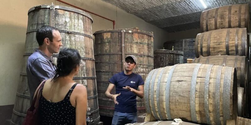 Tequila and Guachimontones in One Day! - Highlights of the Day
