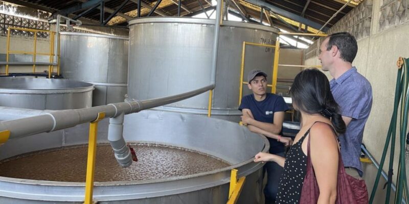 Tequila and Guachimontones in One Day! - Culinary Experience
