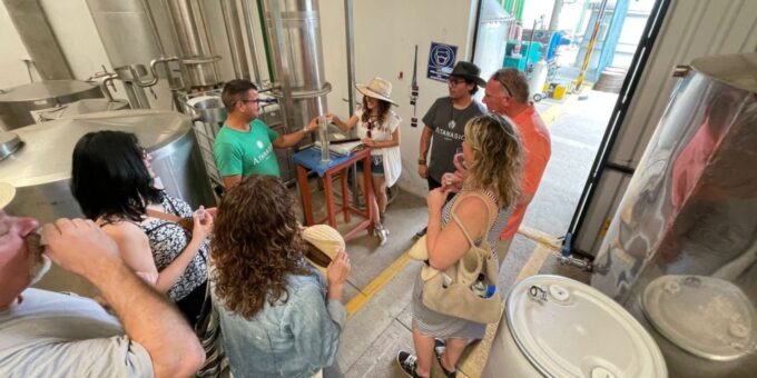 Tequila and Guachimontones in One Day! - Inclusions and Benefits