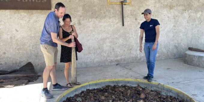 Tequila and Guachimontones in One Day! - Planning Your Tour