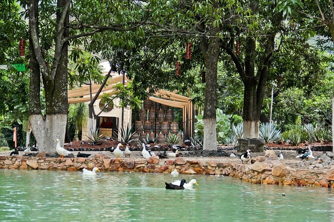 Tequila Day Experience Including Hacienda Cofradia With Lunch - Additional Details