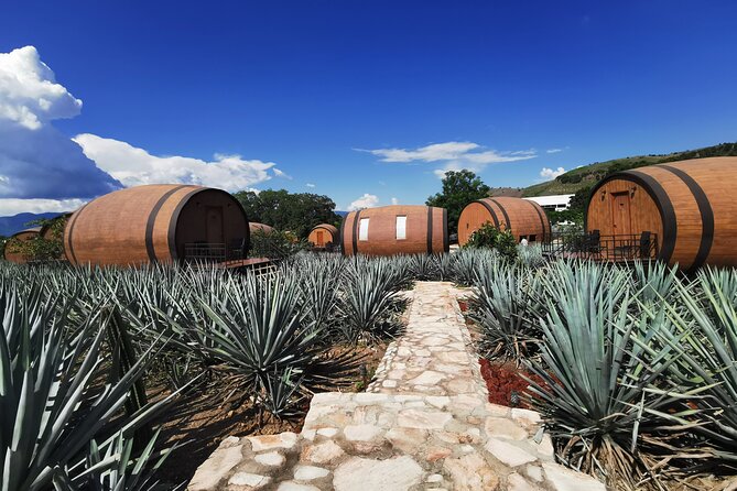 Tequila Day Experience Including Hacienda Cofradia With Lunch - Tequila Hacienda Tour
