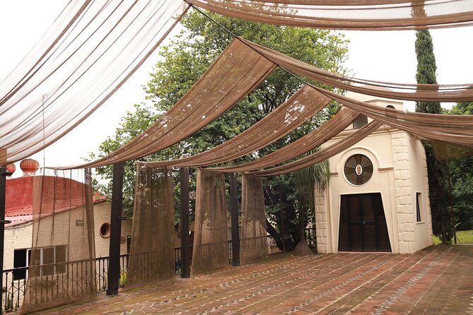 Tequila Day Experience Including Hacienda Cofradia With Lunch - Lunch and Tastings