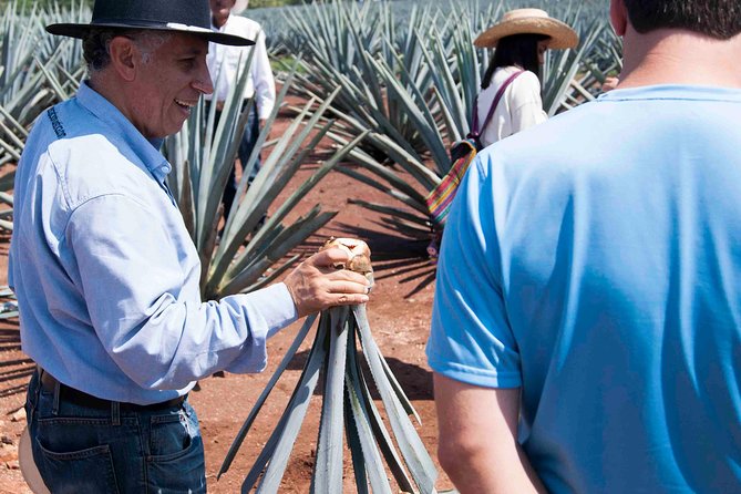 Tequila Distillery Experience, Jose Cuervo & Tequila Magic Town - Dining and Lunch Options